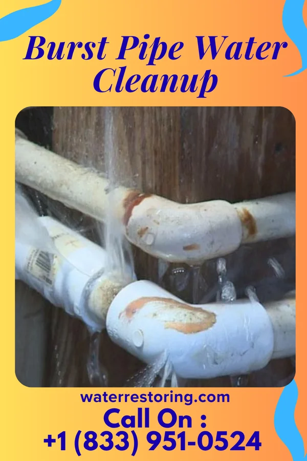 Burst Pipe Water Cleanup in Central City, IA