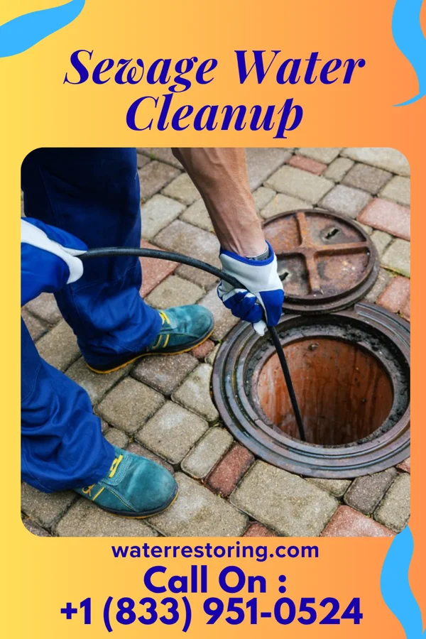 Sewage Water Cleanup in Central City, IA